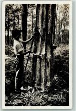 Pays Landais - Kautschuk sammeln AK Landwirtschaft 1939