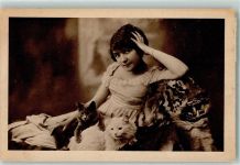 Katze