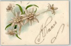 Edelweiß AK mit Glimmerauflage Litho Alpenflora 1900 AK mit Glitzer