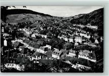 Baden Blick von Ruine Stein Burg / Schloss 1968