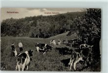 55566 W6553 Sobernheim