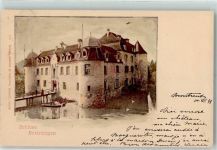 Bottmingen Schloss Bottmingen Burg / Schloss 1899