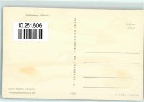23923 O2440 Schönberg , Meckl - Rückseite mit Abschürfungen bzw Kleberesten