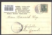 Prägedruck Alpenveilchen Schwalbe AK Spruch 1905 AK mit Stoff