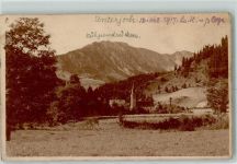 87541 W8973 Unterjoch 1917 - Handschr. Kühgundrücken