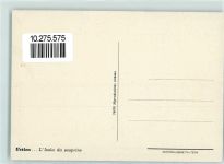 90010 Ustica - Cottage Hotel