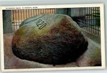 Plymouth - Plymouth rock