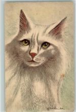 Edition Stehli Nr. 80 sign. Fred Santer AK Katze Künstlerkarte