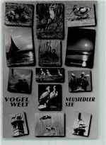 7100 Neusiedl am See - Vogelwelt