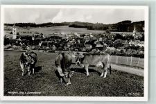 88239 W7988 Wangen im Allgäu