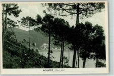 19015 Levanto 1925 - Fra i pini Pinien Meer