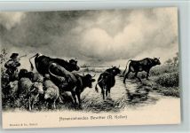 Verlag Brunner & Co - Landwirtschaft, Kühe Koller, R.