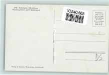 Bachalpsee, Schreckhorn und Kühe beim Trinken im See 1942 AK Sehr gute Erhaltung Berg Foto AK