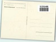 Blaukreuzjugendwerk II-6 Mädchen unterm Blütenbaum, gute Erhaltung Jugendbewegung