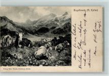 Engstlealp - Kühe AK Koller, R. 1904