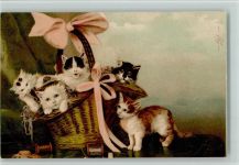 Kätzchen in einem Korb , gute Erhaltung Katze 1900