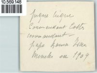 Ausflug Kutsche 1909 Privatfoto KEINE AK
