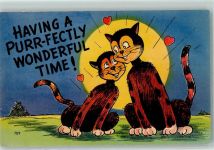 Comic AK Katze Künstlerkarte