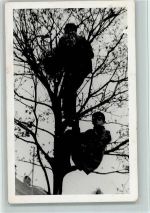 Vogelnest kontrollieren? Privatfoto