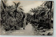 Basra - Tuck`s Date Palms