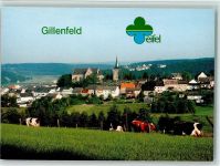 54558 W5569 Gillenfeld - Panoramaansicht Kuhweide