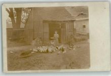 Bauernhof Huhn Privatfoto AK
