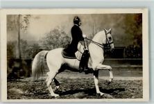 Spanischer Tritt Foto AK Spanische Reitschule 1930 Gebrauchsspuren