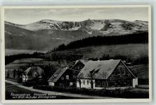 Kiesewald Michalowice - im Riesengebirge mit den Schneegruben