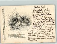 Berliner Tierschutzverein Nr. 15 Küken Tierschutz 1898