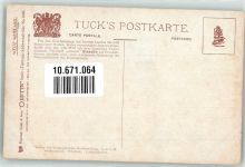 Flüchtige Strausse Südwestafrika Tucks Oilette Nr.946 Vogel Künstlerkarte