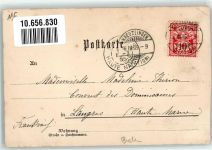 78462 W7750 Insel Mainau 1905 Lithographie Schloss Mainau sign. C.Biese