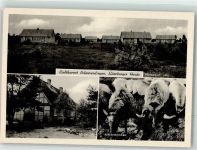29640 W3043 Schneverdingen - Feriendorf Schäferhof Heidschnuken