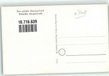 77731 W7608 Willstätt Foto AK Hauptstrasse Kirche