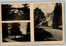 72270 W7292 Ruhestein Foto AK
