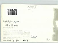 89150 W7903 Laichingen FOTO KEINE AK Schule Ort handschriftlich