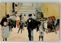 Gibraltar - Esel Marktszene