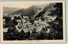 07429 O6821 Rohrbach b Rudolstadt 1929 Foto AK