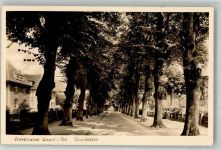 26316 W2930 Varel , Jadebusen - Baumallee