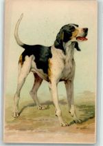 Meissner u. Buch Serie 1549 Jagdhund Lithographie / Künstlerkarte