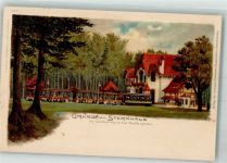 38300 W3340 Wolfenbüttel , Niedersachs 1899 Lithographie Gasthaus Sternhaus Straßenbahn im Lechelnholz