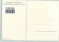 Schweizer Pfadfinderinnen - Naturschutz Beeren Pfadfinder 1960