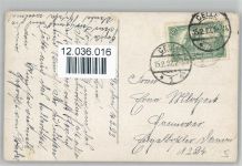 Geburtstag , Veilchen , Fliegenpilze Pilz 1922