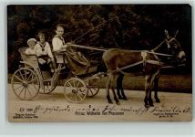 Prinz Wilhelm mit seiner Kutsche vorne ziehen Esel, Photochemie 2080 AK Original-Aufnahme Berger 1908 AK Adel Prinz Wilhelm