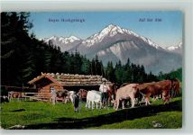 Bayr. Hochgebirge - Auf der Alm - Kuhhirte 1929 AK Berg