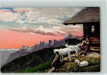 auf der Alp mit Bergziegen Berghütte