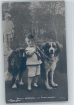 Bernhardiner Hund mit Prinz Wilhelm Nr. 1947 Liersch Adel Prinz Wilhelm