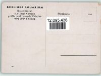 Riesen Waran - Berliner Aquarium Exotisches Tier