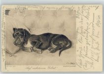 Dackel liegt auf der Couch 1901 Verbotenes Gebiet - Künstler sign Holst Dackel