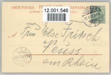 Dackel liegt auf der Couch 1901 Verbotenes Gebiet - Künstler sign Holst Dackel
