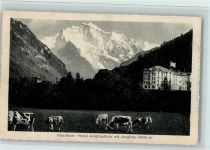 Interlaken Hotel Jungfraublick mit Jungfrau Kuh